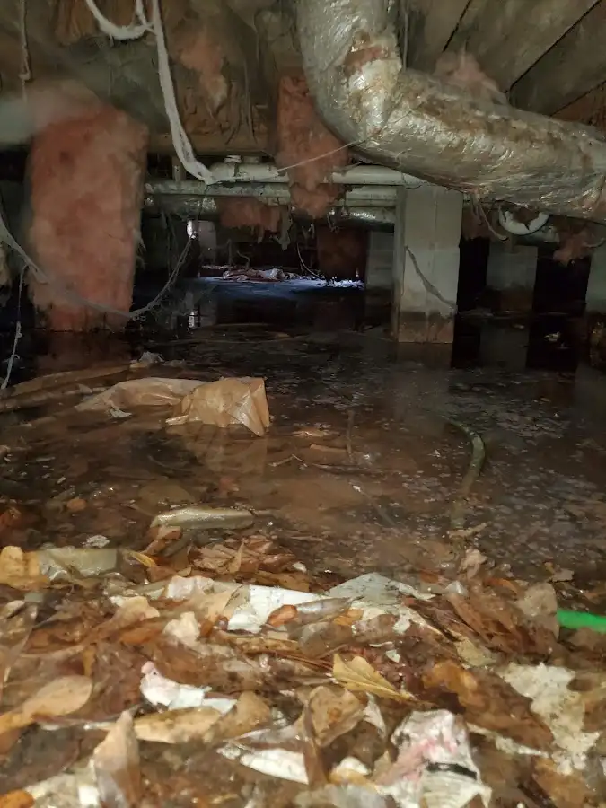 Crawl space flood assessment for Leak Detection & Repair in Irvine